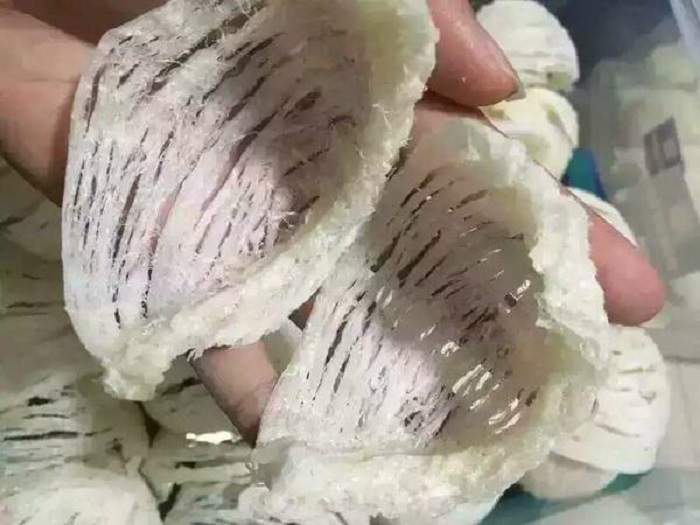 Modal Sarang Burung Walet Sederhana