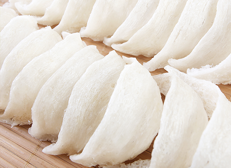 Rahasia Lokasi Terbaik untuk Membangun Ekosistem Sarang Burung Walet yang Sukses