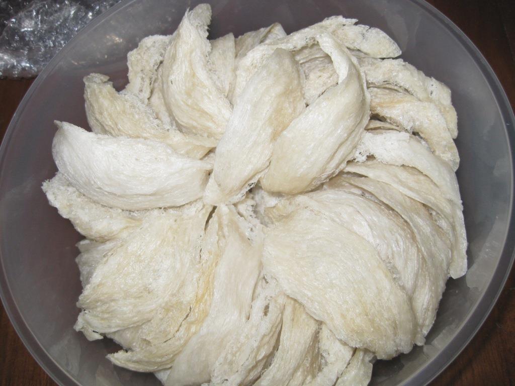 Berapa Pajak Daerah Sarang Burung Walet?