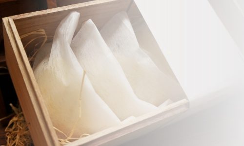 Markas-Walet-Jual-Sarang-Walet-2