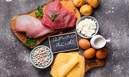 asam amino sarang walet