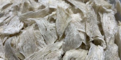 dijual_cepat_patahan_sarang_wa_1655716275_eb029dff_progressive-1024x768