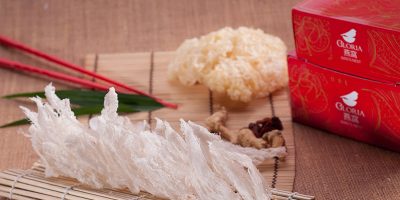 jualsarangburungwaletkakimurah6