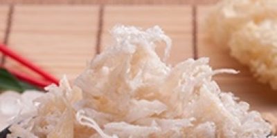 sarang-burung-walet-kaki