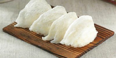 sarang burung walet putih