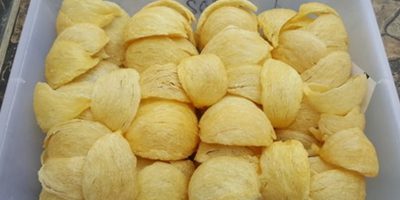 sarang-walet-kuning-murah